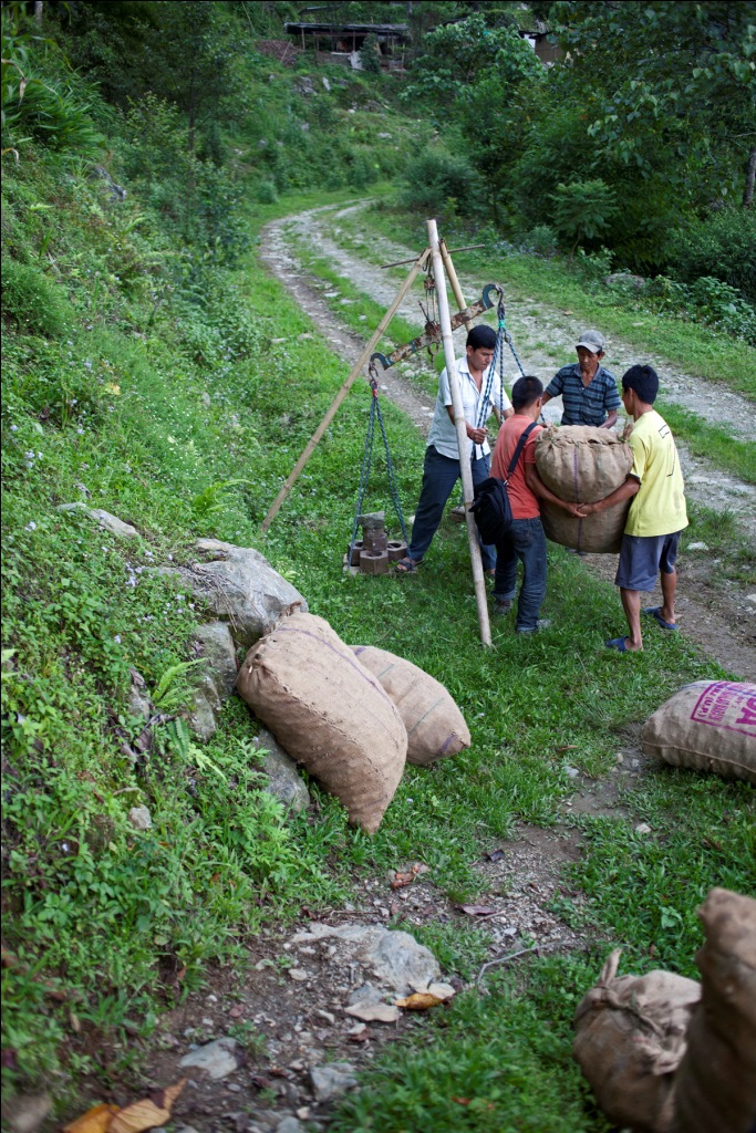Ginger traders from Singtham weighing ginger from a farmer in Budang village, Central Pendam, East Sikkim.
